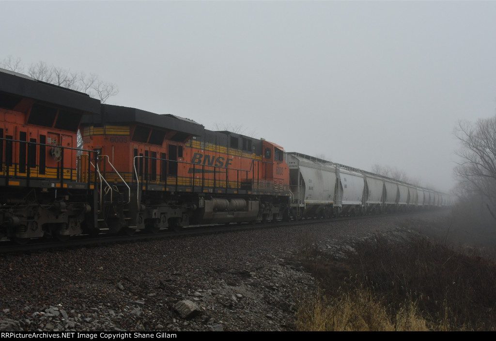 BNSF 6003